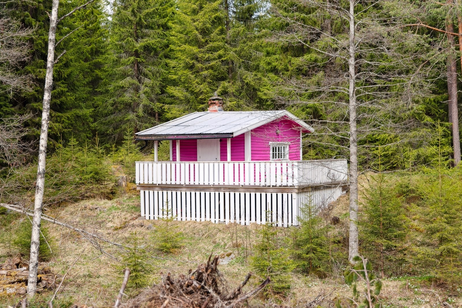 En sjelden gang dukker det opp en helt spesiell hytte. Den som skiller seg fra de andre. Galleribilde