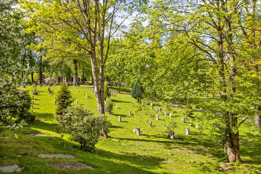 Utsynet er mot vakre Gamlebyen Gravlund Galleribilde