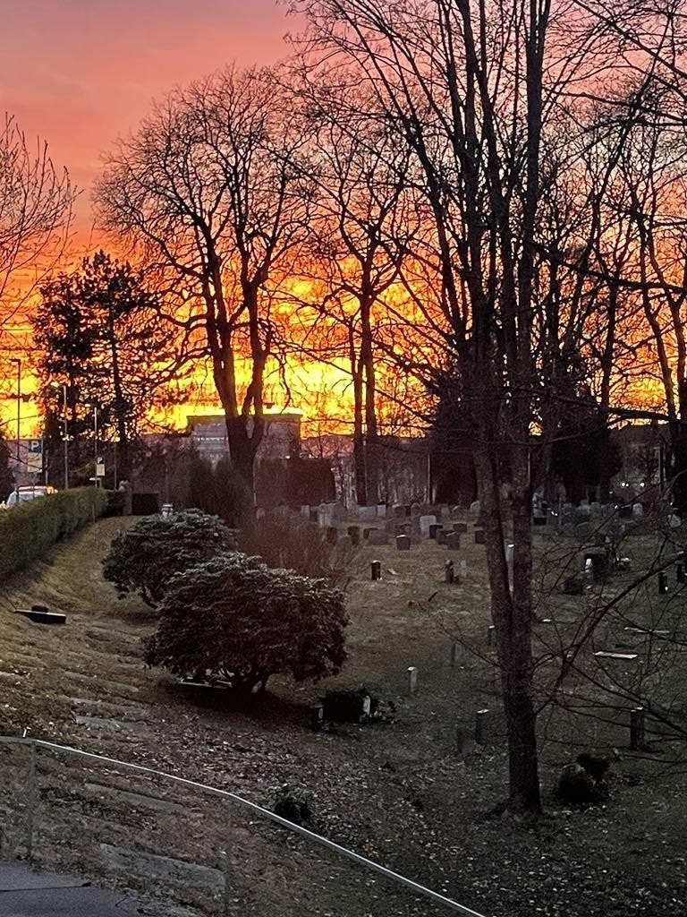 Fra solnedgang (eiers bilde) Galleribilde