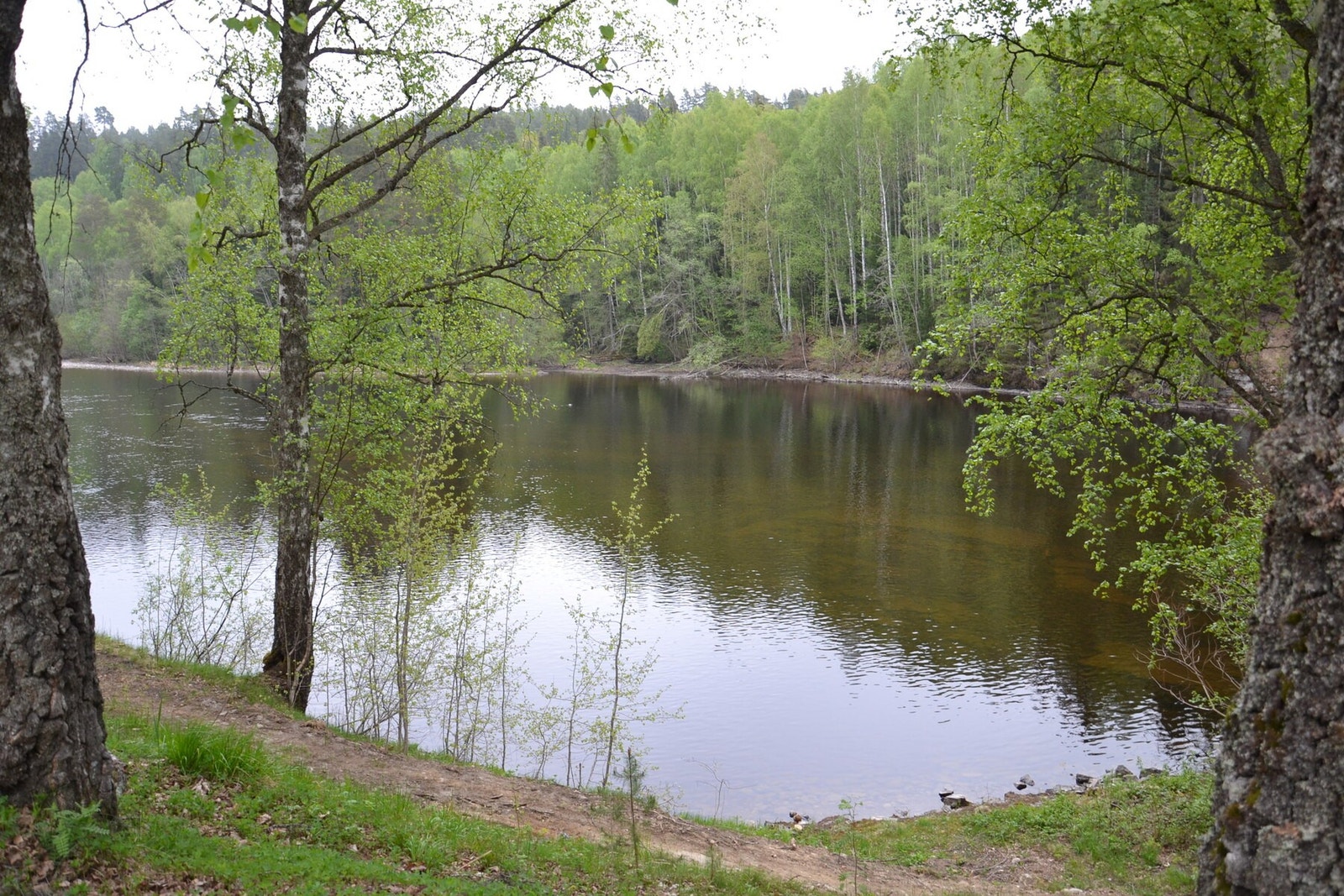 Kistefoss museets park for rekreasjon og familiesamvær Galleribilde