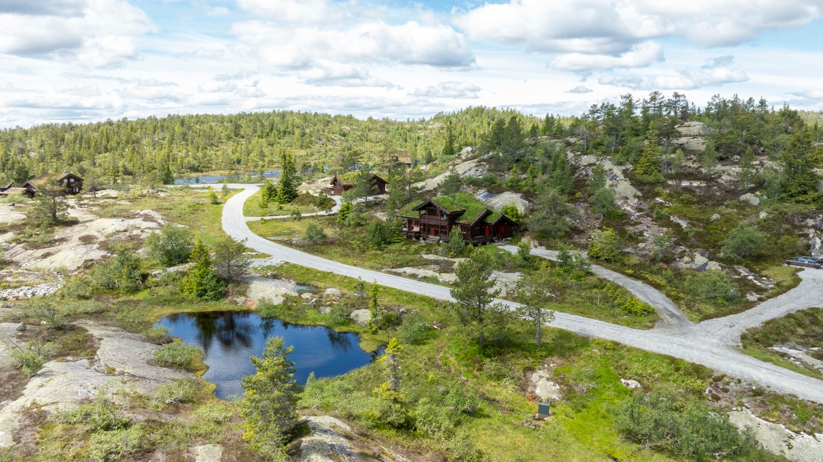 Nærområde. Galleribilde