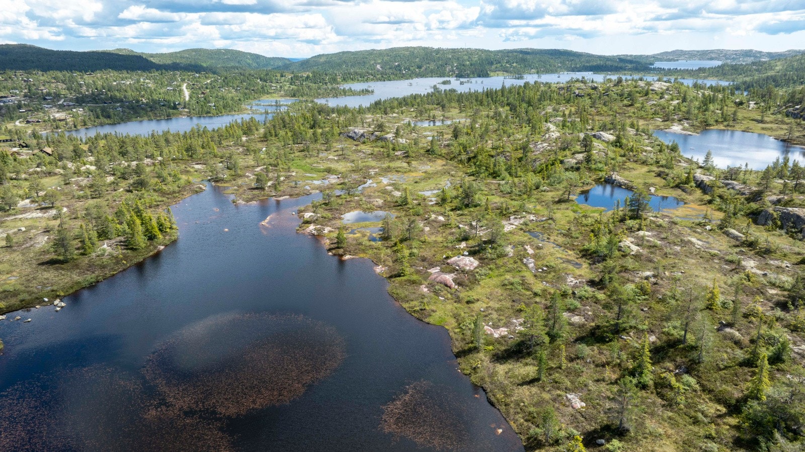 Nærområde. Galleribilde