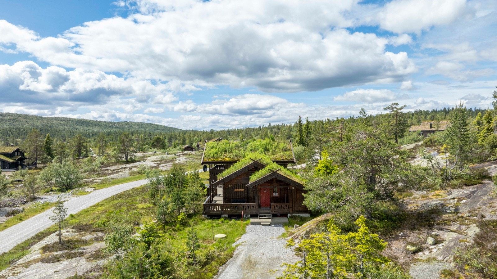 Nærområde. Galleribilde