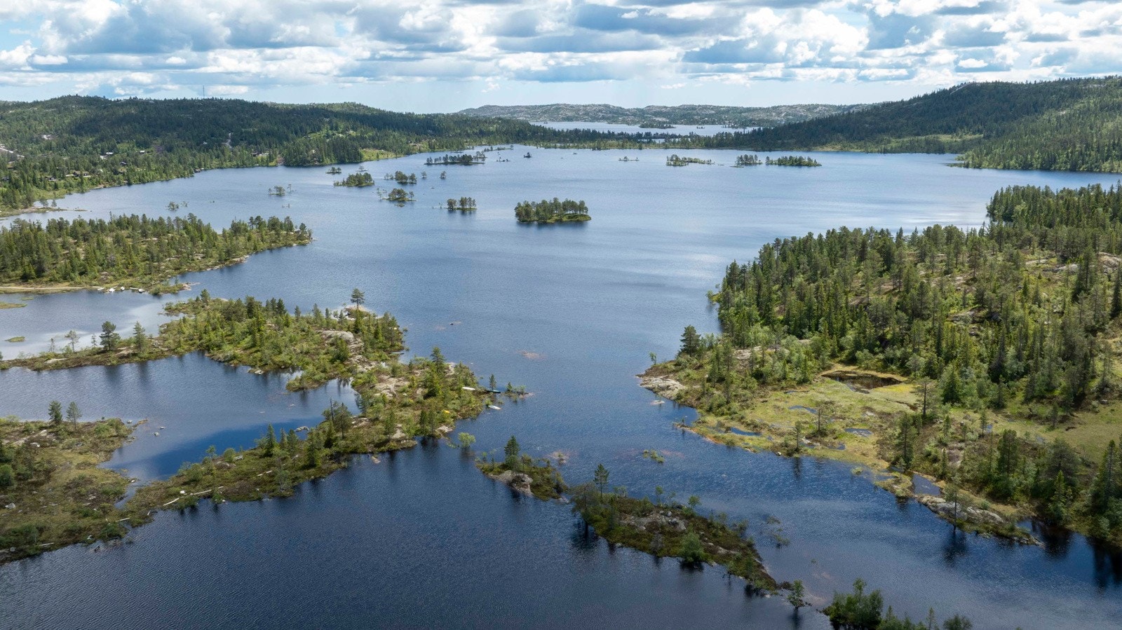 Nærområde. Galleribilde