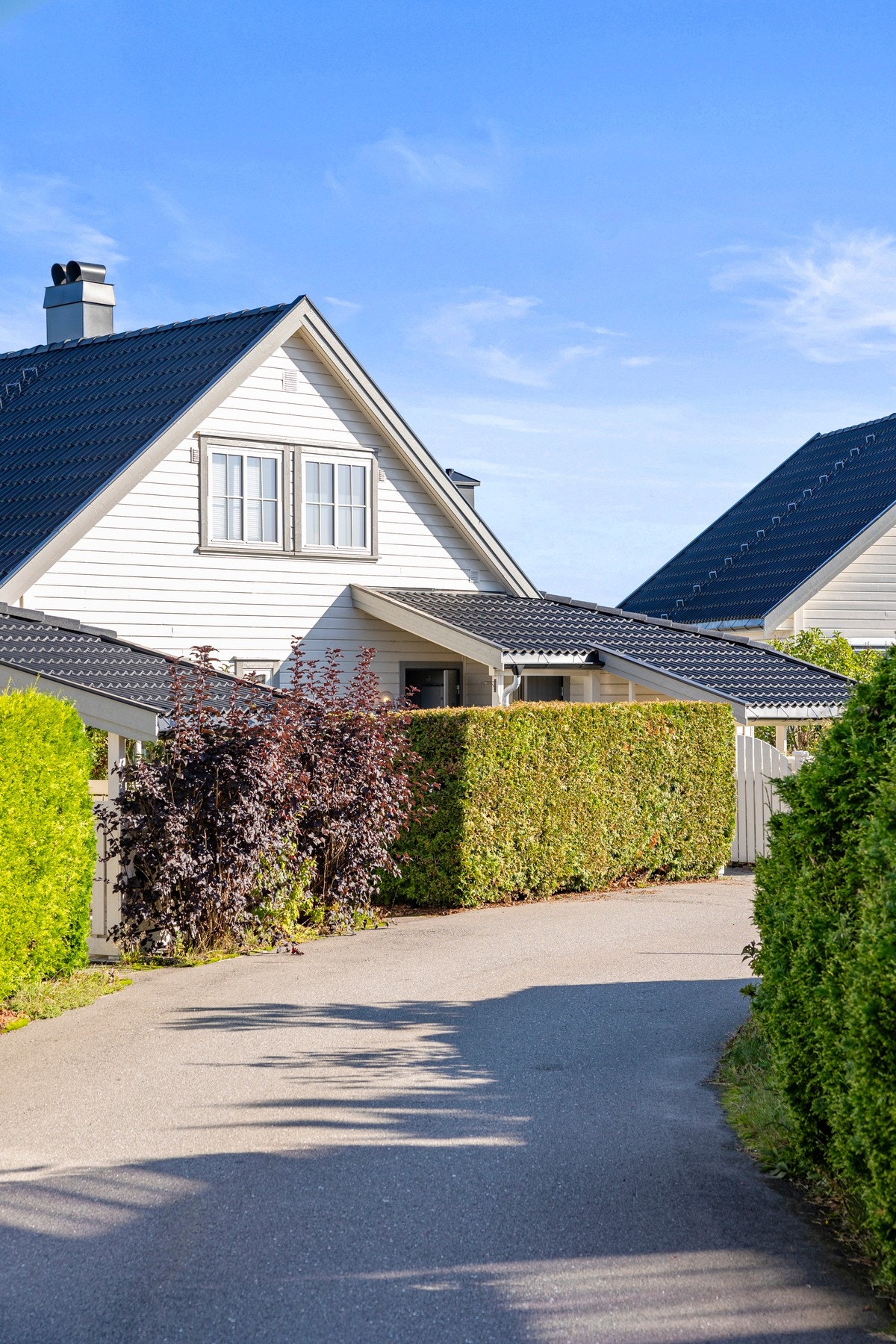 Sees vi? Galleribilde