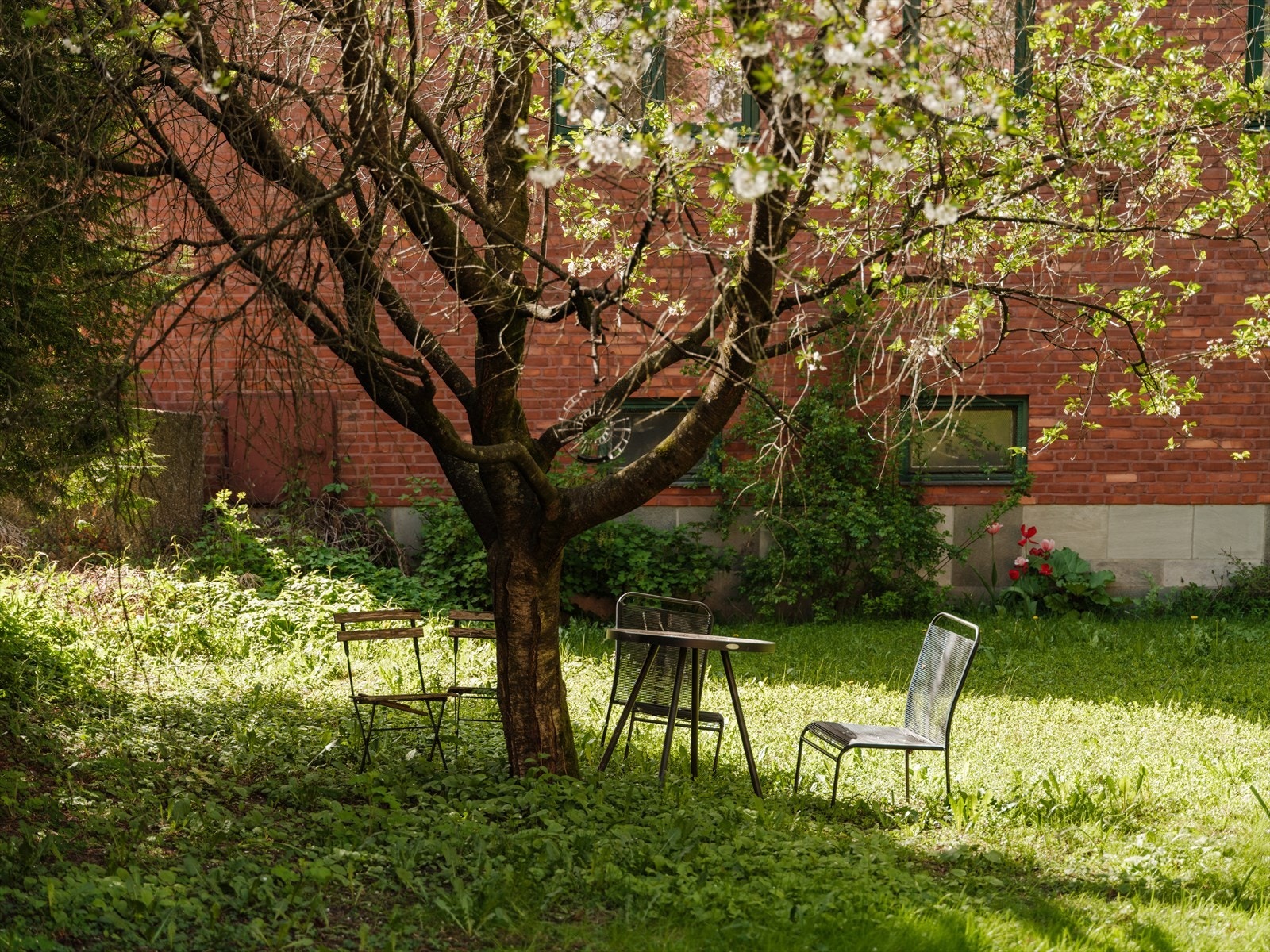 Sameiet har hyggelige uteområder med gressplen, beplanting og utemøbler. Galleribilde