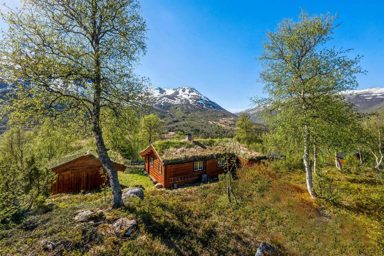 Lafta tømmerhytte fra Rindalshytta med nydelig beliggenhet i vakre Storlidalen. Hytta har en veldig heldig beliggenhet i hyttefeltet på et flott høydedrag med nydelig utsikt, gode solforhold en usjenert tomt på over 1000 kvm. Galleribilde