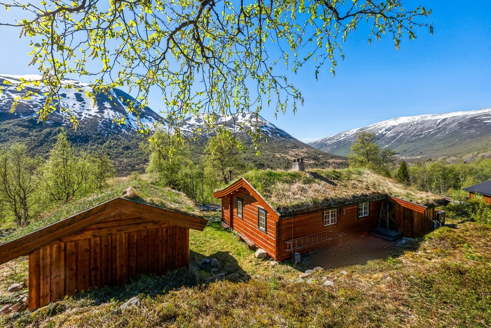 Anneks med oppholdsrom og soveplasser. Perfekt for storfamilien eller egen ungdomsavdeling Galleribilde