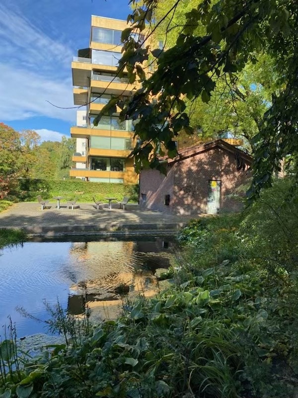 Nærmiljø Galleribilde