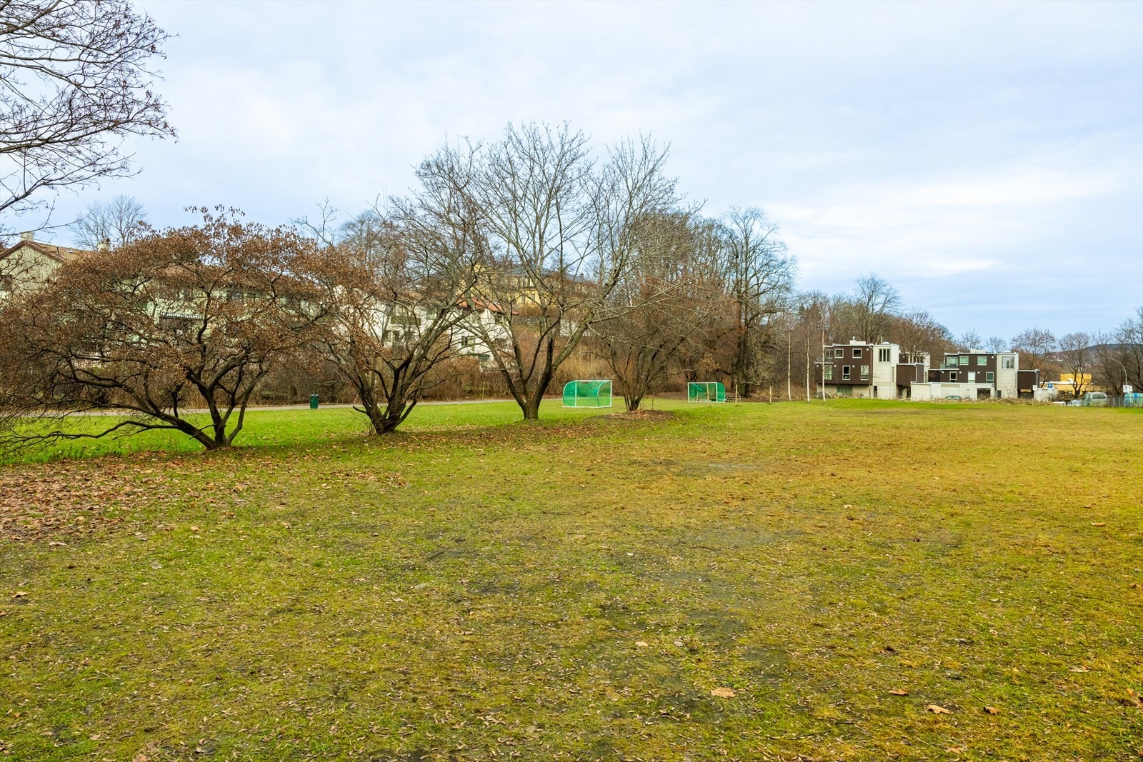 Nærområdet. Galleribilde