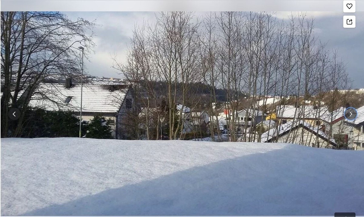 Utsikt mot Byåsen/Bymarka Galleribilde