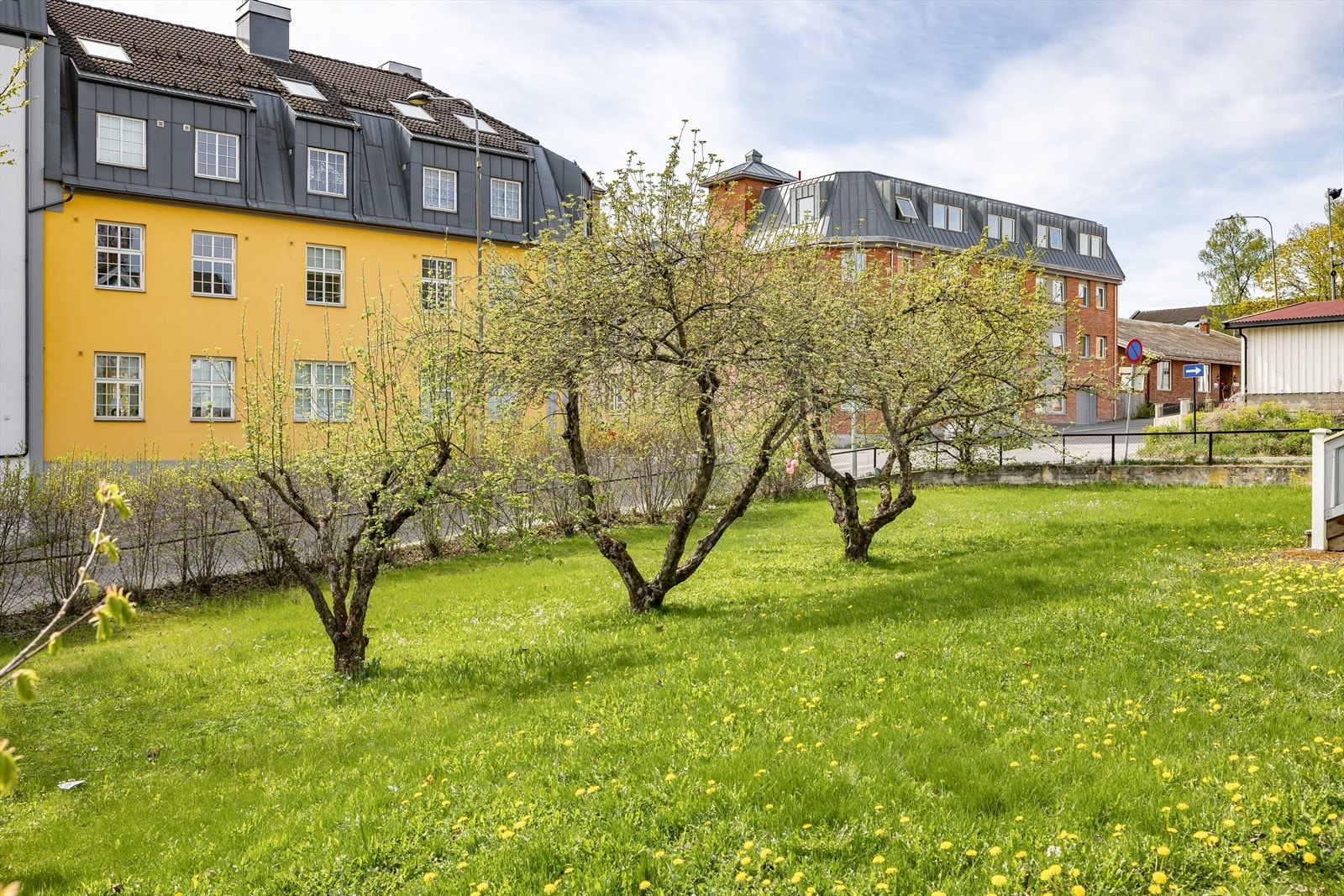 En frodig og grønn hage. Det er plantet hekk mot veien som skjermer for innsyn om sommeren. Galleribilde