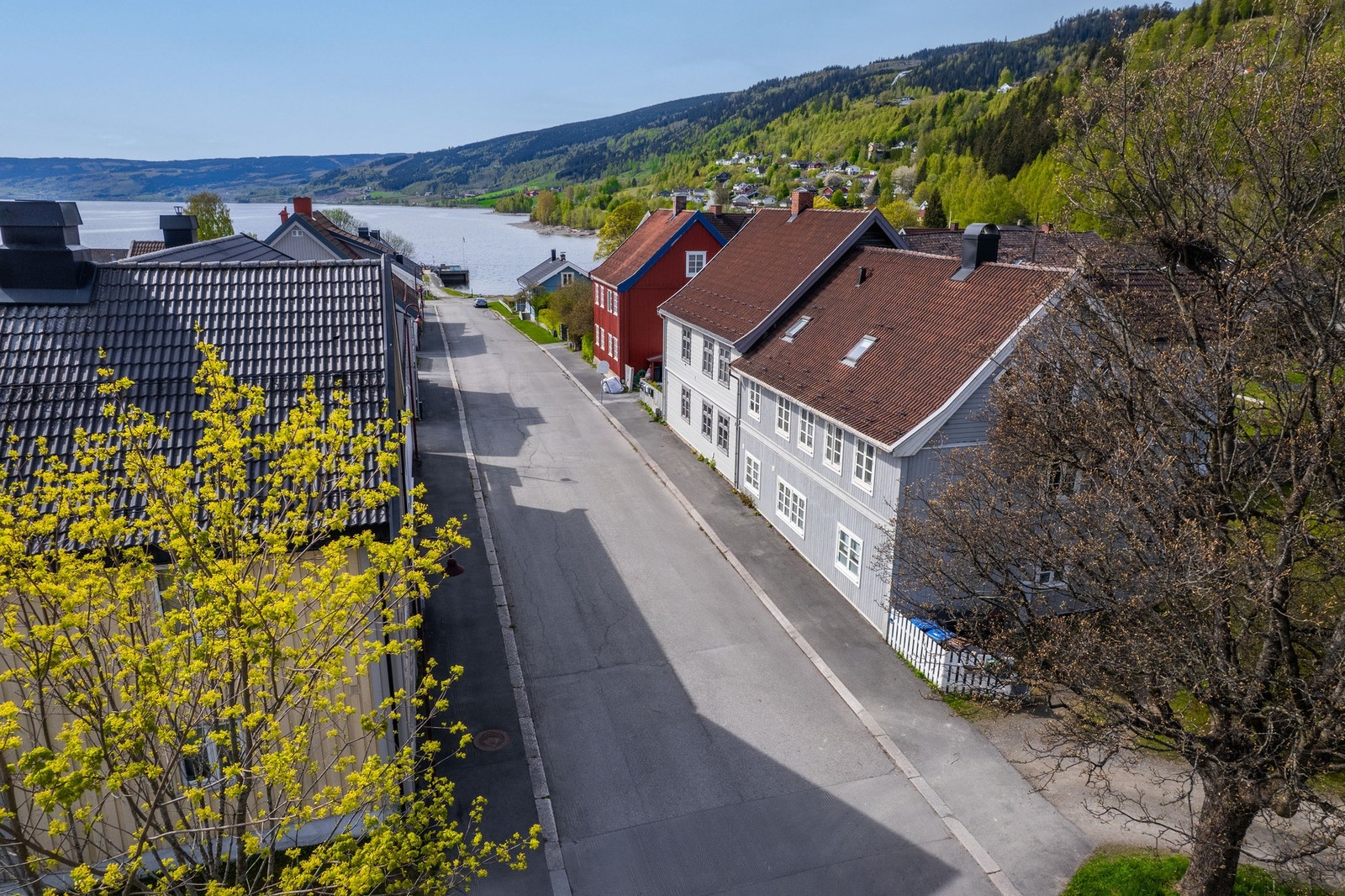 Bare rundt 100 meter fra leiligheten finner du Svaneredet og Skibladnerbrygga - en idyllisk perle ved Mjøsas bredd. Galleribilde