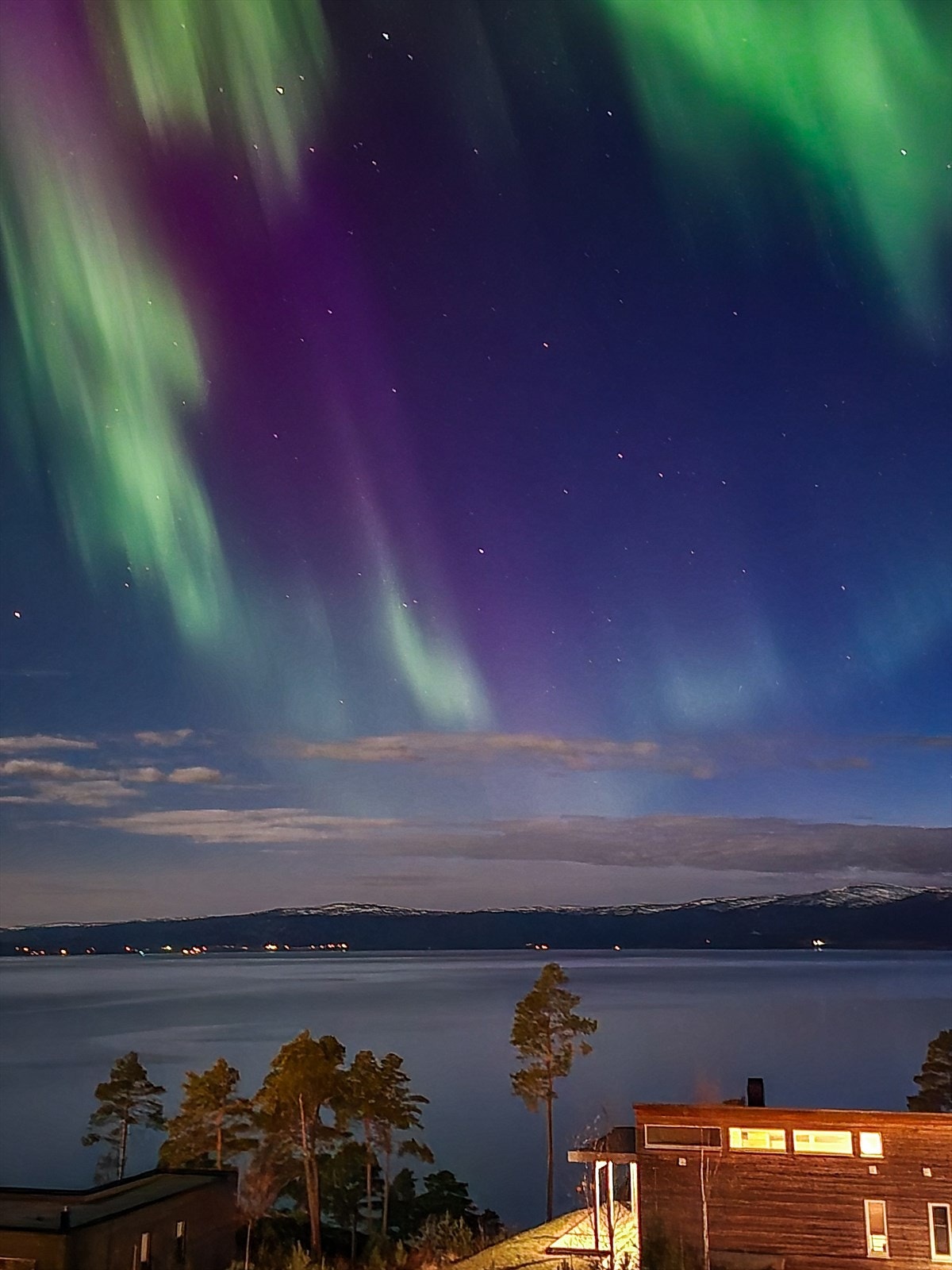 Bilde tatt av selger. Galleribilde