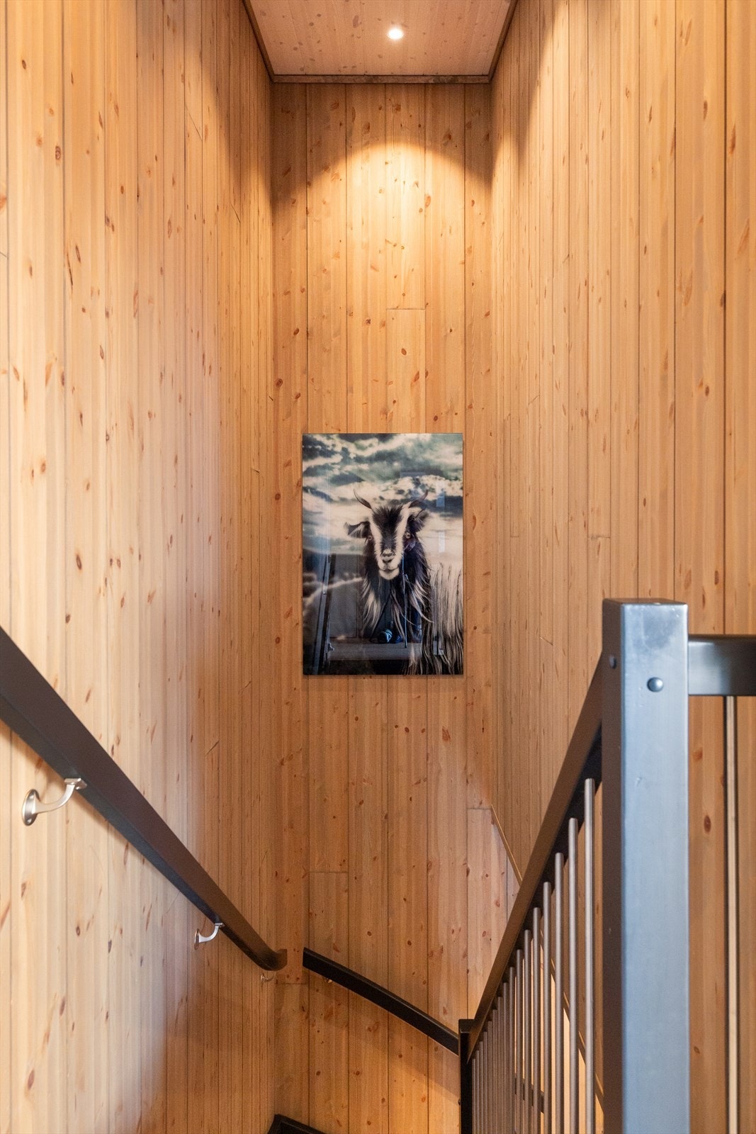 Detaljbilde. Galleribilde