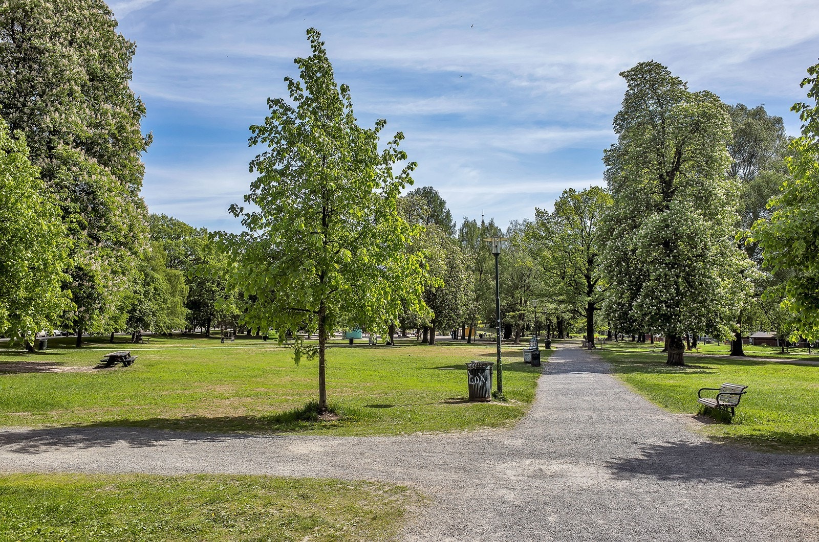 Sofienbergparken - en levende oase hvor byens beboere samles for utendørsaktiviteter, pikniker eller en rolig spasertur blant vakre trær og blomsterbed. Galleribilde