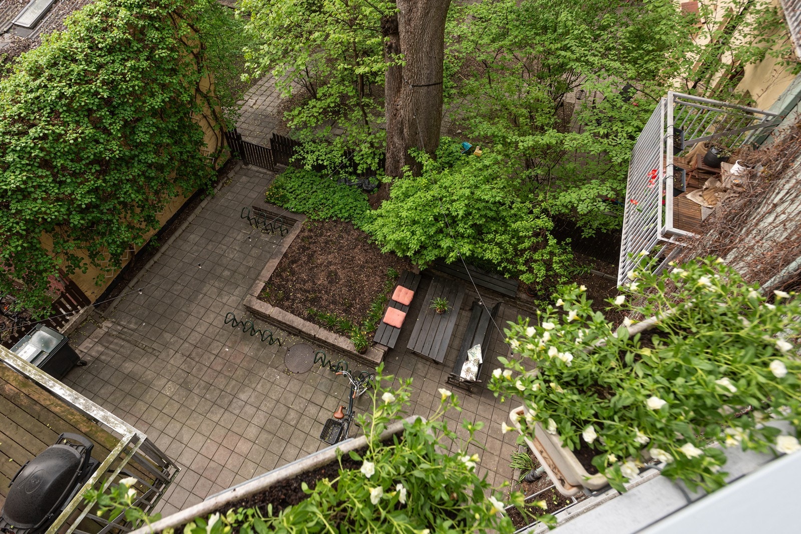 Bakgården er frodig med grønn beplantning. Galleribilde