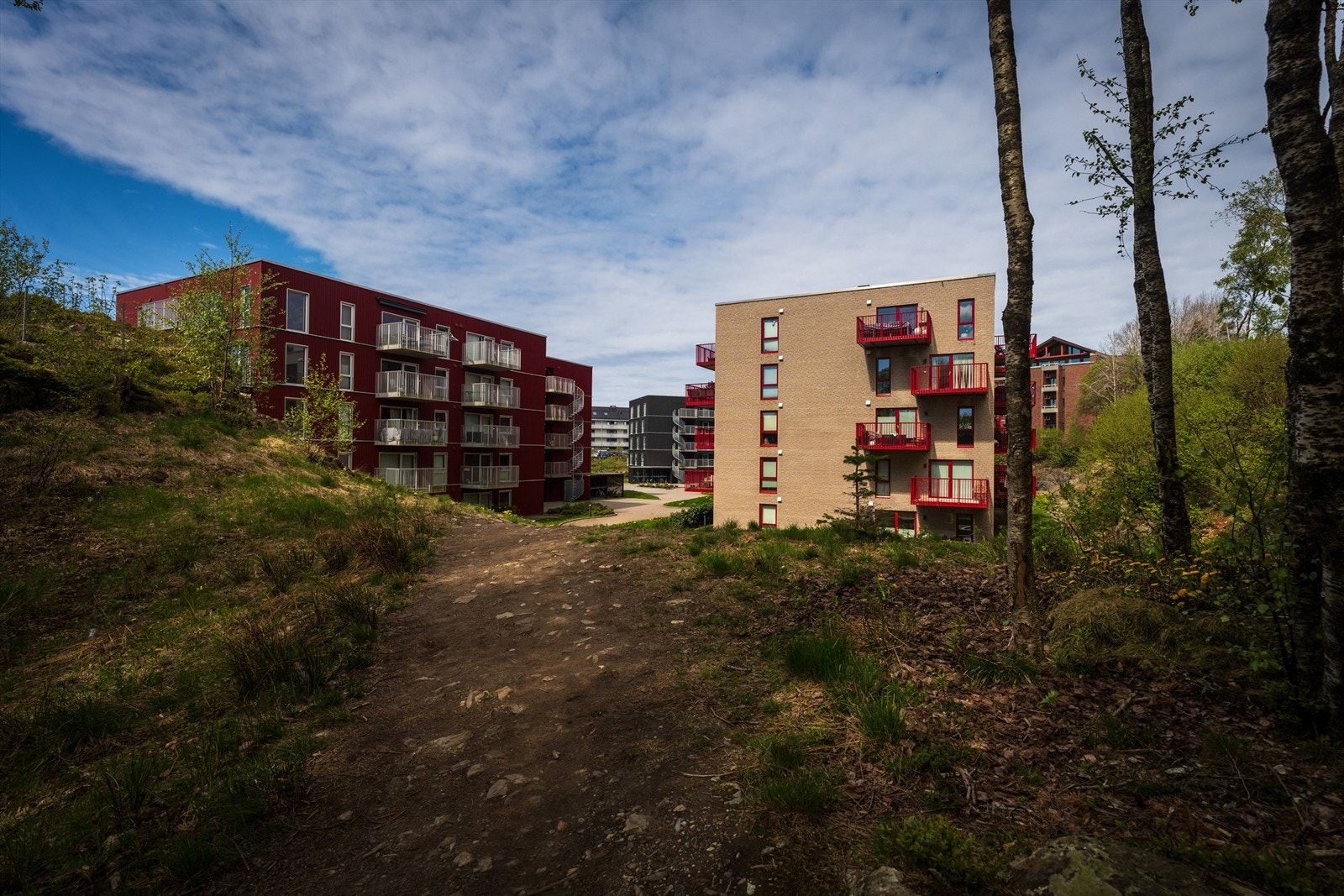Her bor du i naturskjønne omgivelser med et nettverk av turveier og grønne korridorer som er godt egnet for daglig rekreasjon og hverdagsturer. Galleribilde
