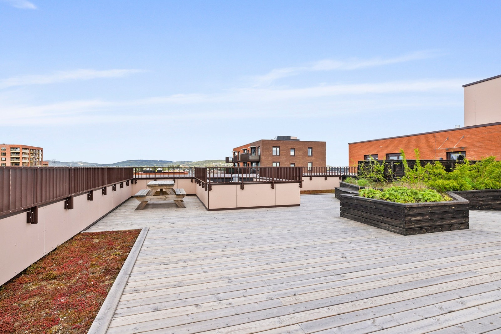 Felles takterrasse med felles sittegrupper. Galleribilde