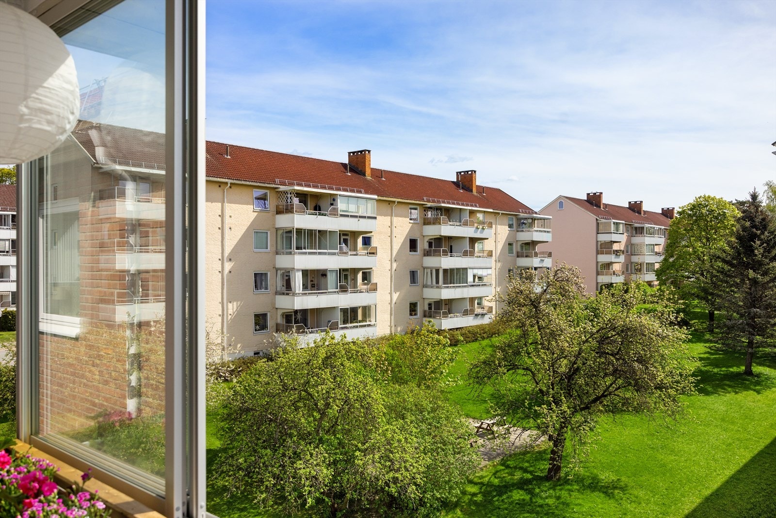 Flott utsikt utover bakgården. Galleribilde