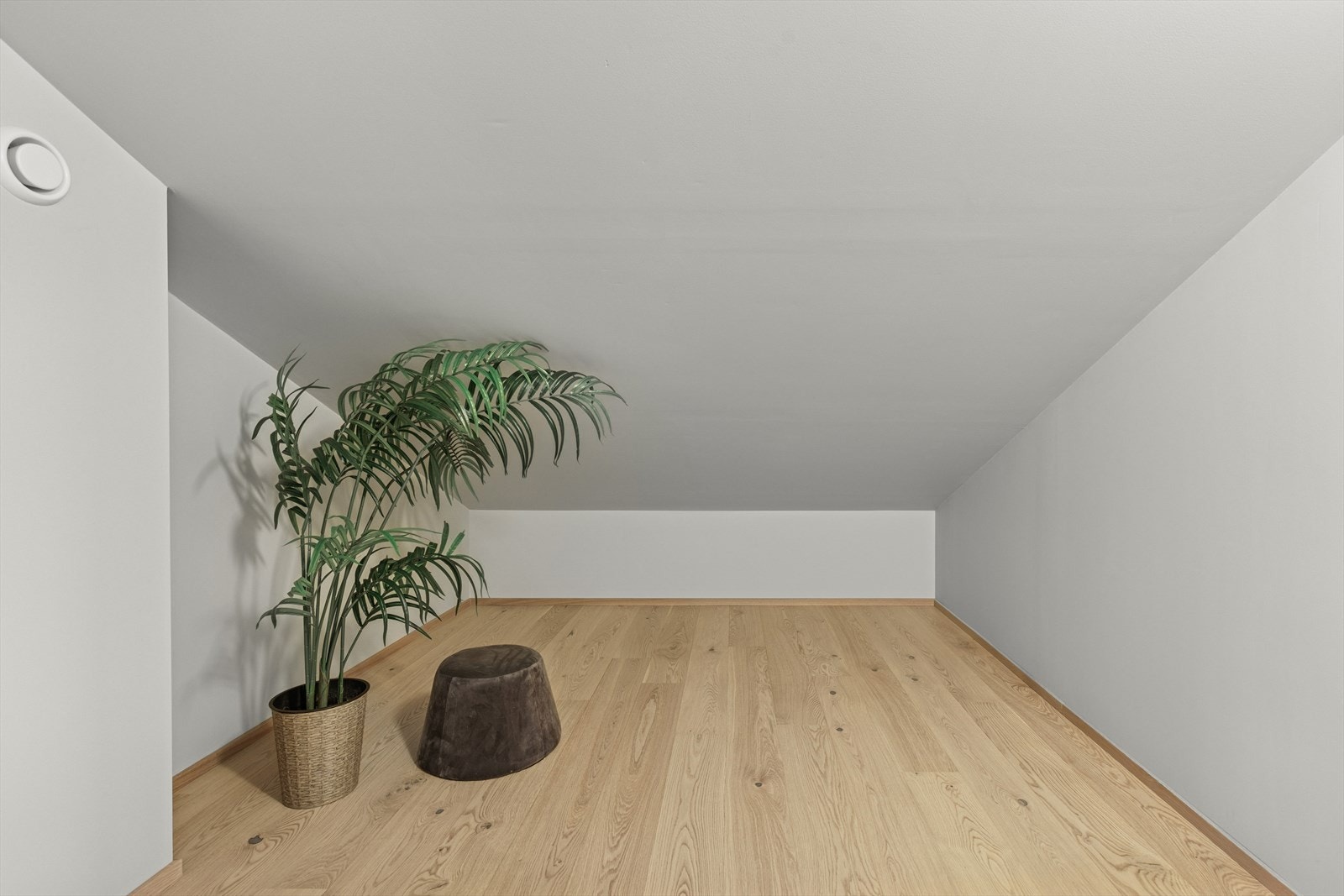 Bod med skrånende tak. Her er det mulig å innrede et toalettrom i rommets ytre del. Galleribilde