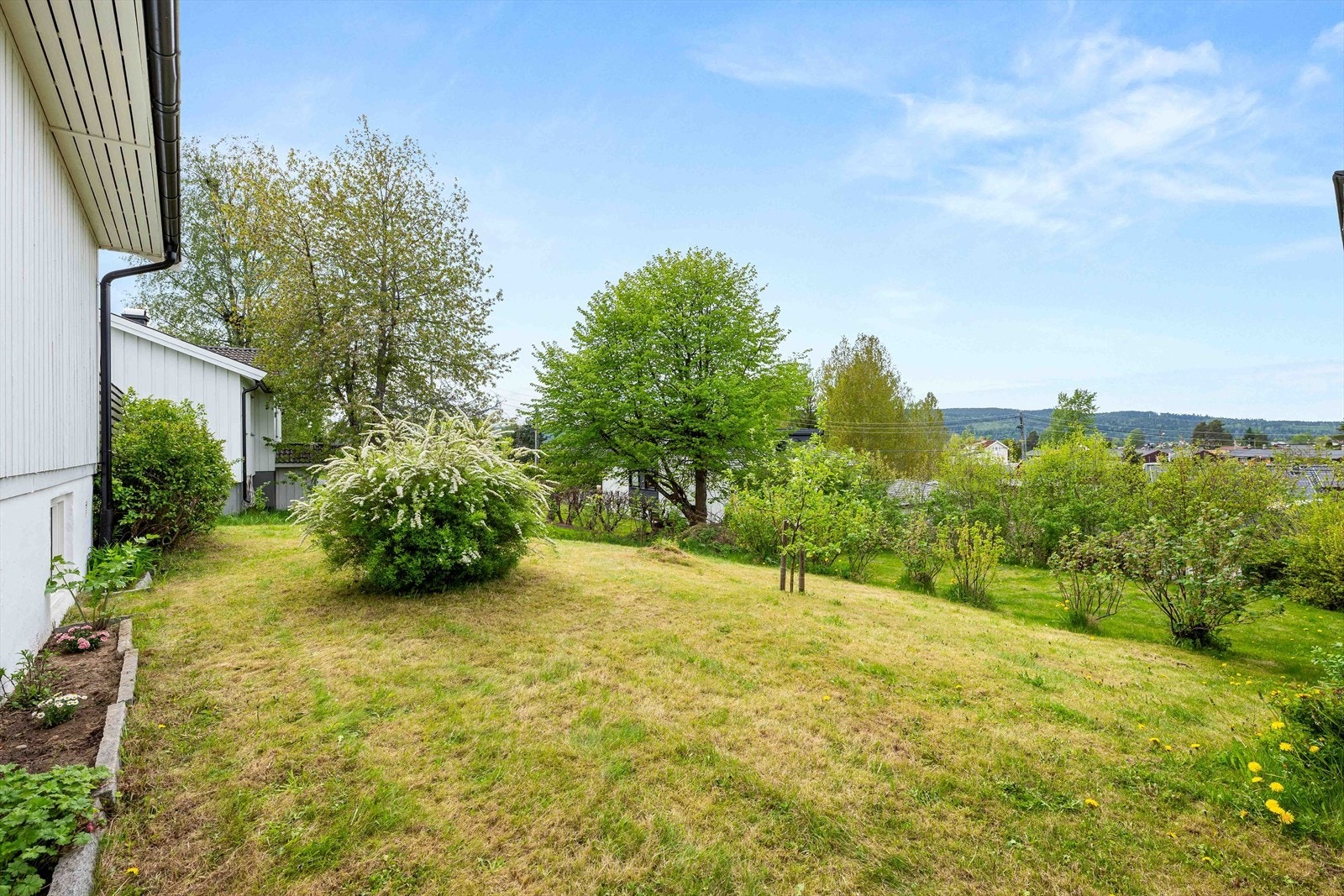 Koselig hage med plen og beplantning. Galleribilde