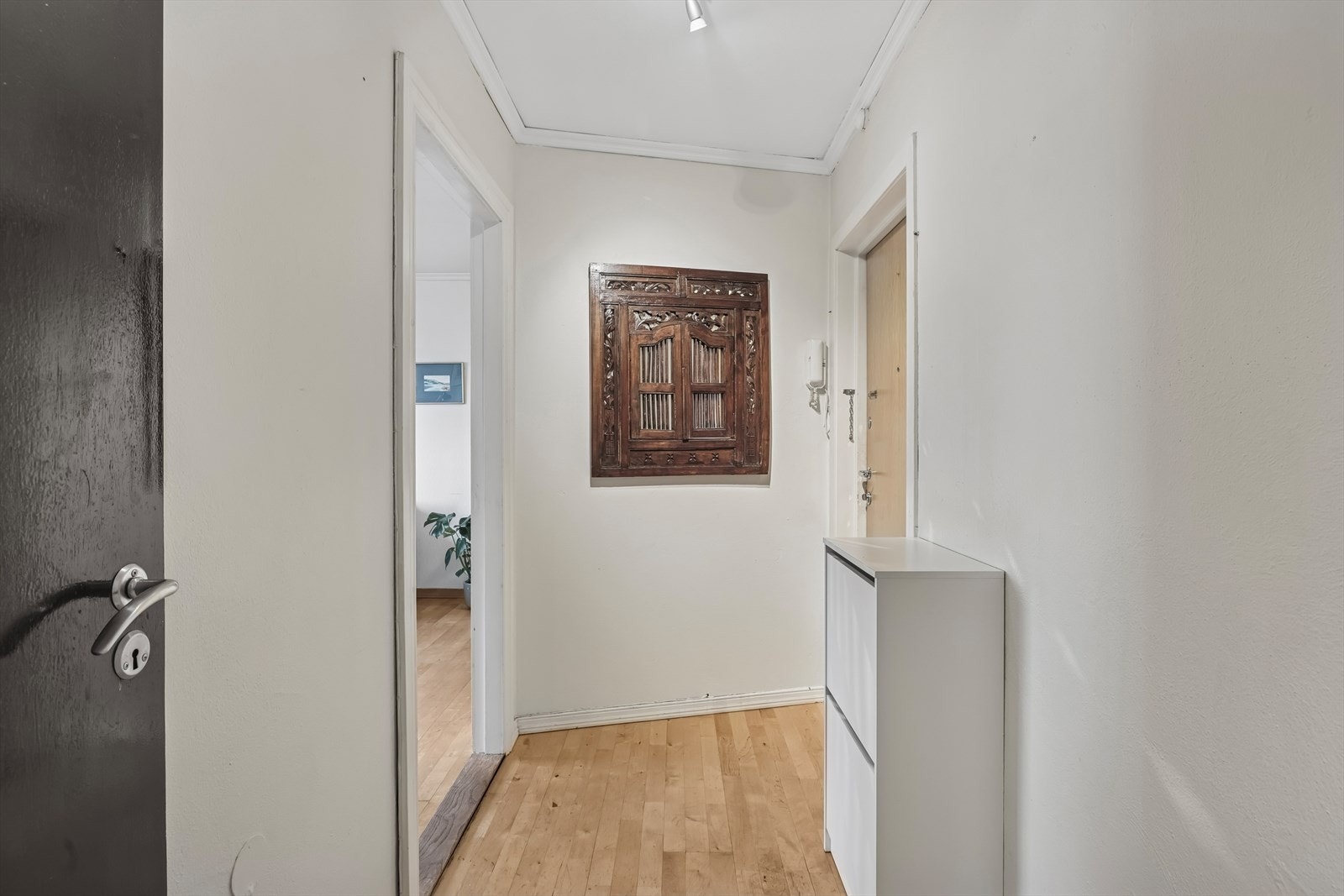 Entré med plass til knaggrekke og skoskap. Galleribilde