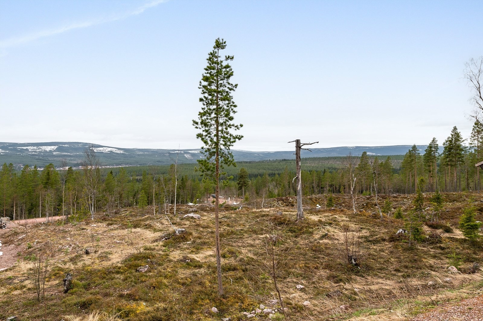 Beliggenheten i høyden og mot sydvest sørger for gode solforhold og nydelig utsikt! Galleribilde
