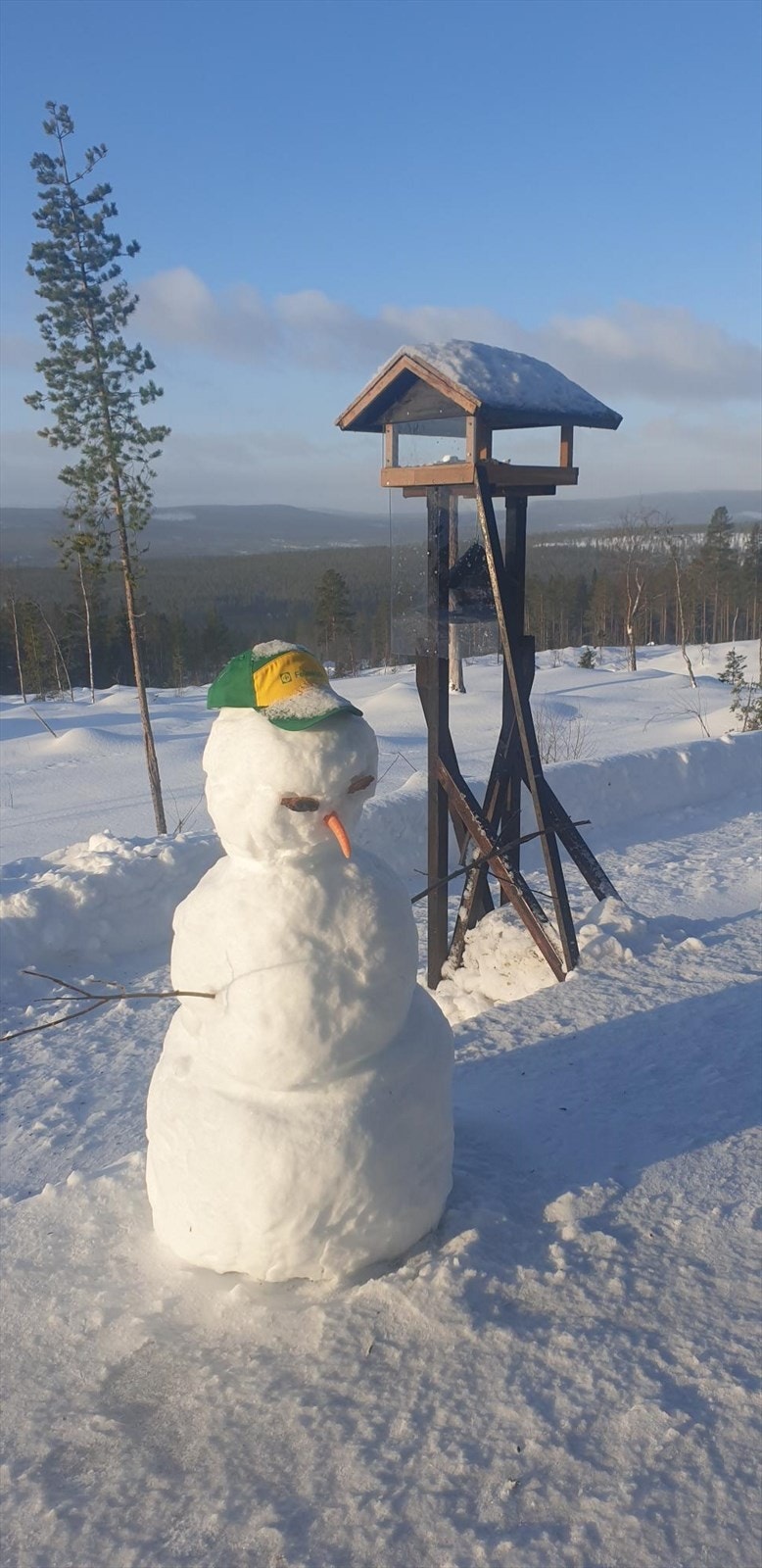 Selgers bilde Galleribilde