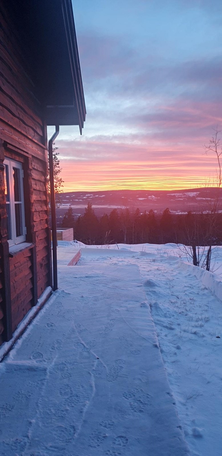 Selgers bilde Galleribilde