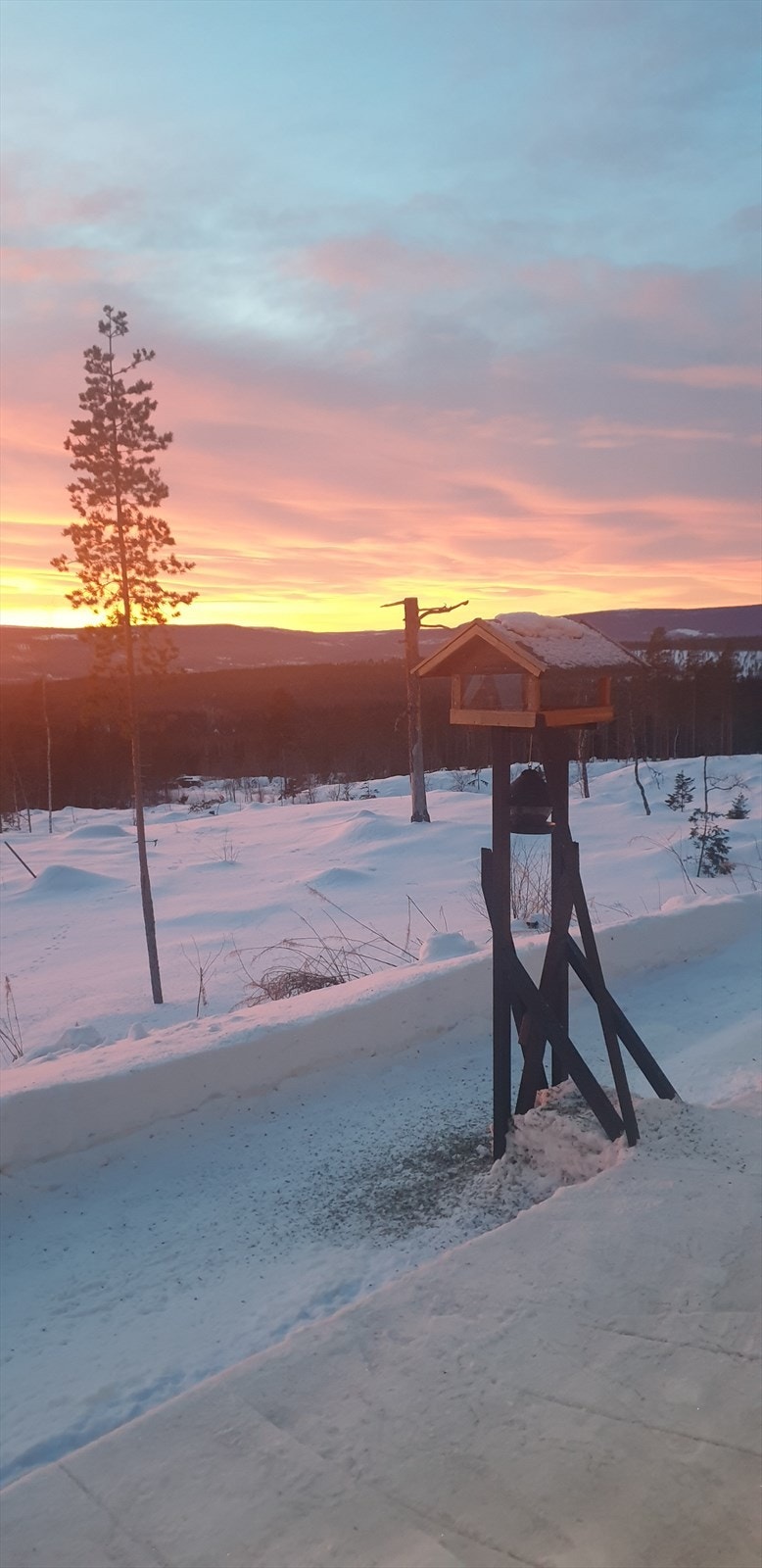 Selgers bilde Galleribilde