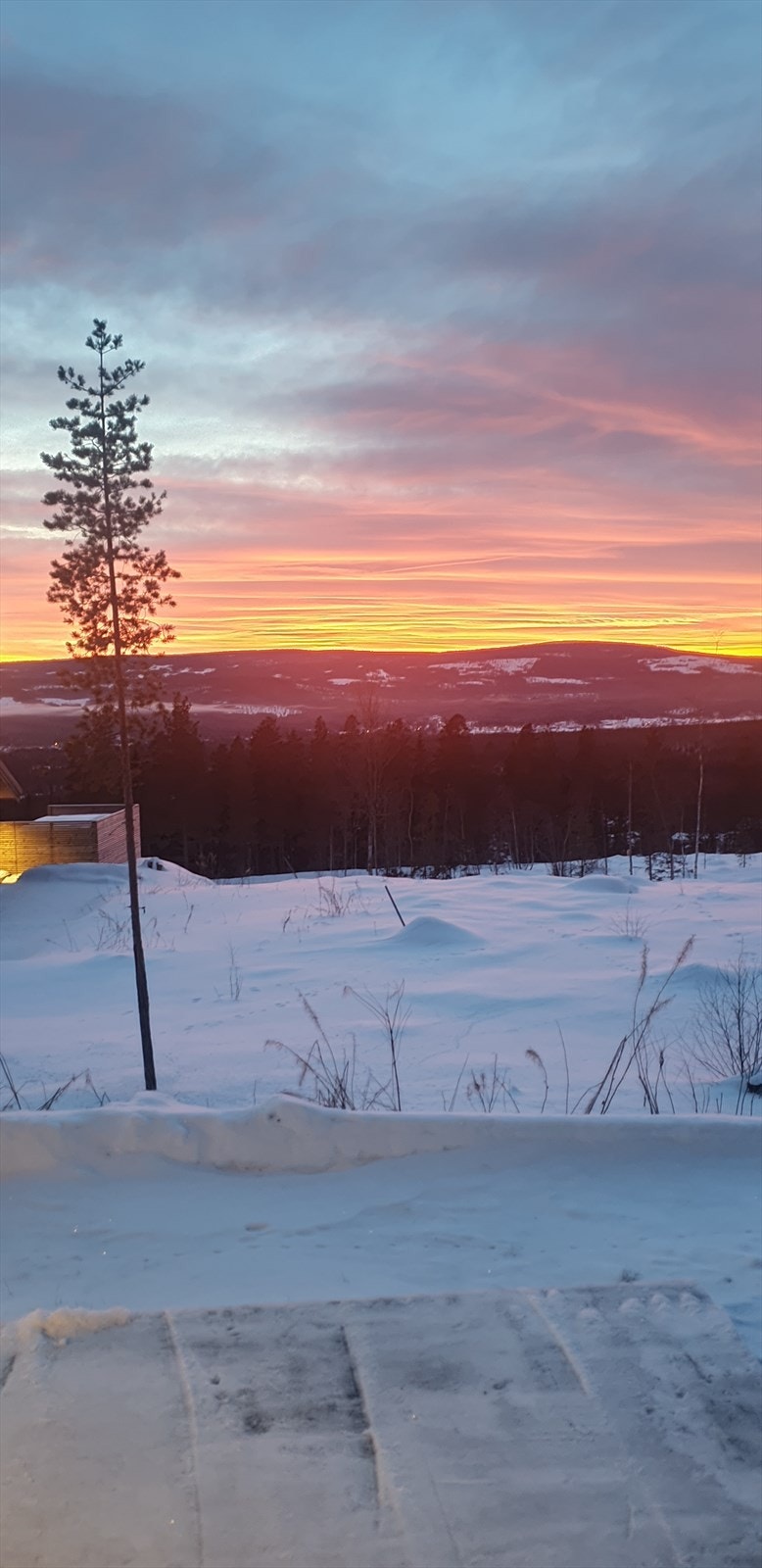 Selgers bilde Galleribilde