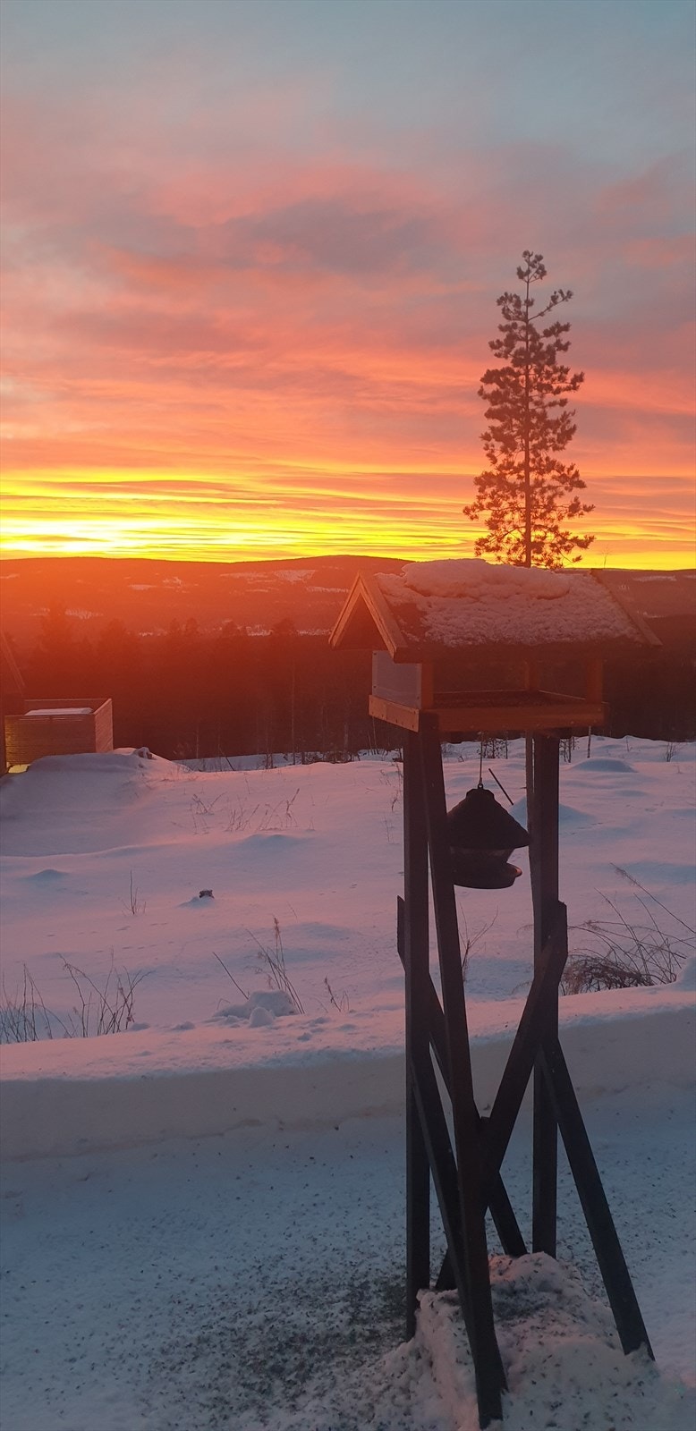 Selgers bilde Galleribilde