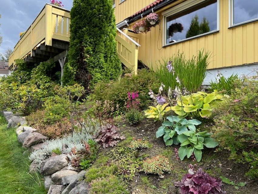 Selgers sommerbilder Galleribilde