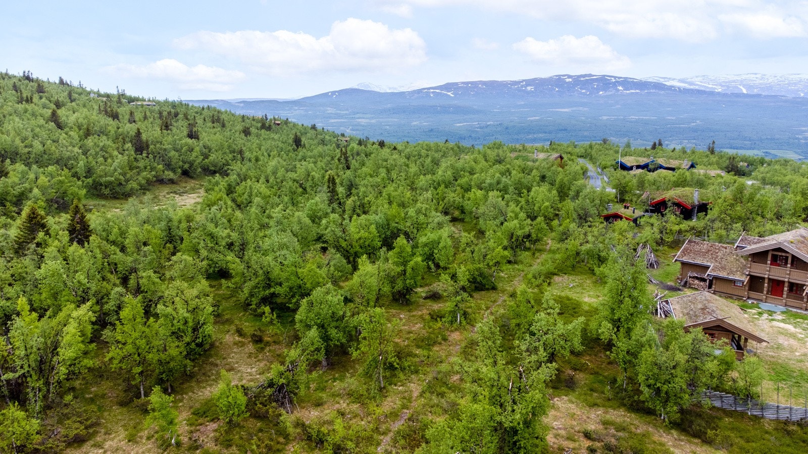 Fine turområder rett ut fra tomten Galleribilde