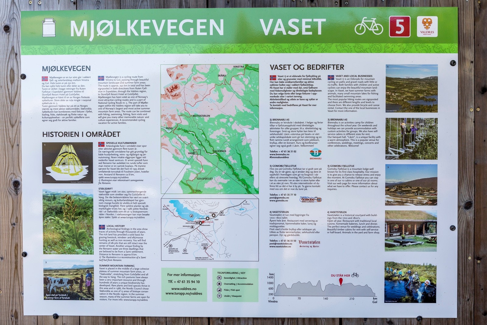 Turtips! Galleribilde