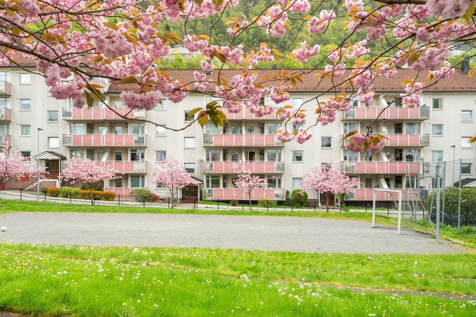 En flott 3-roms leiligheten med en attraktiv beliggenhet i et sentralt, men samtidig rolig område. Boligen er omringet av flotte turmuligheter i umiddelbar nærhet. Galleribilde