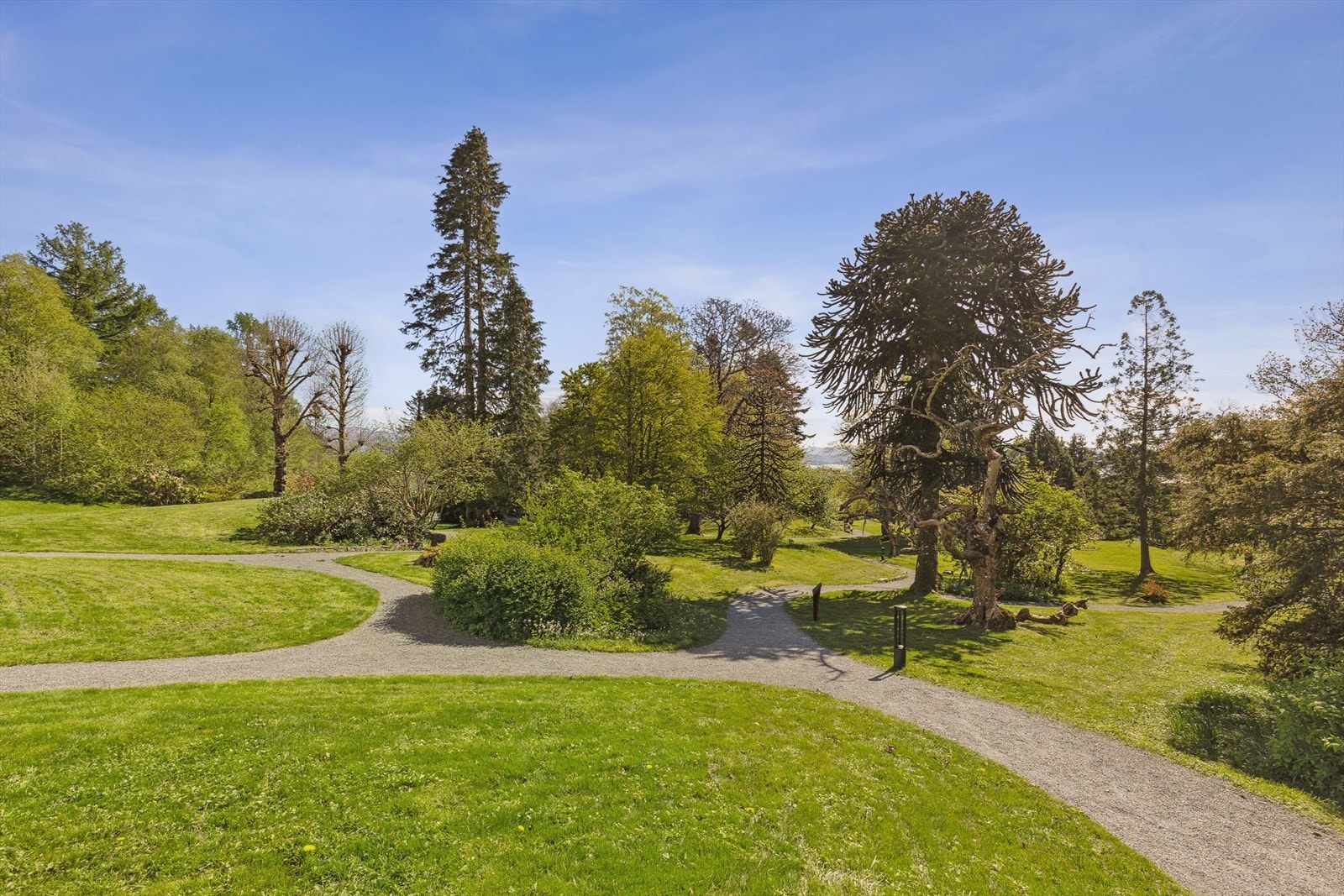 Høyskoleparken. Galleribilde