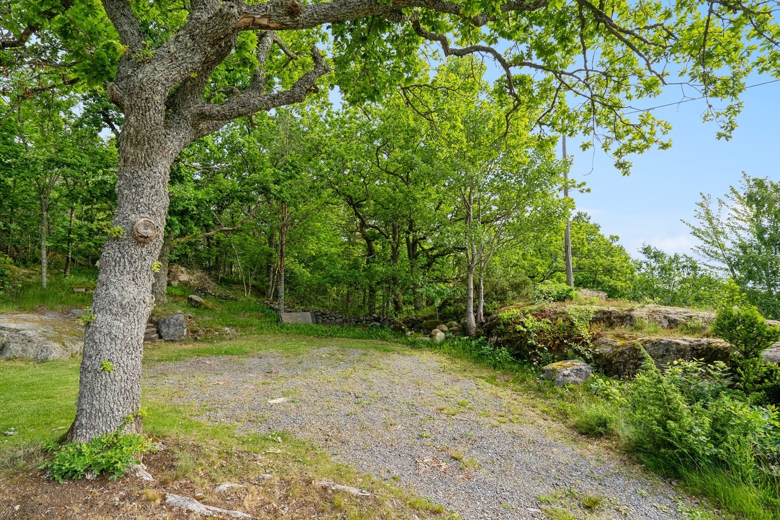 God plass til flere biler på den gruslagte parkeringen nord på tomten Galleribilde