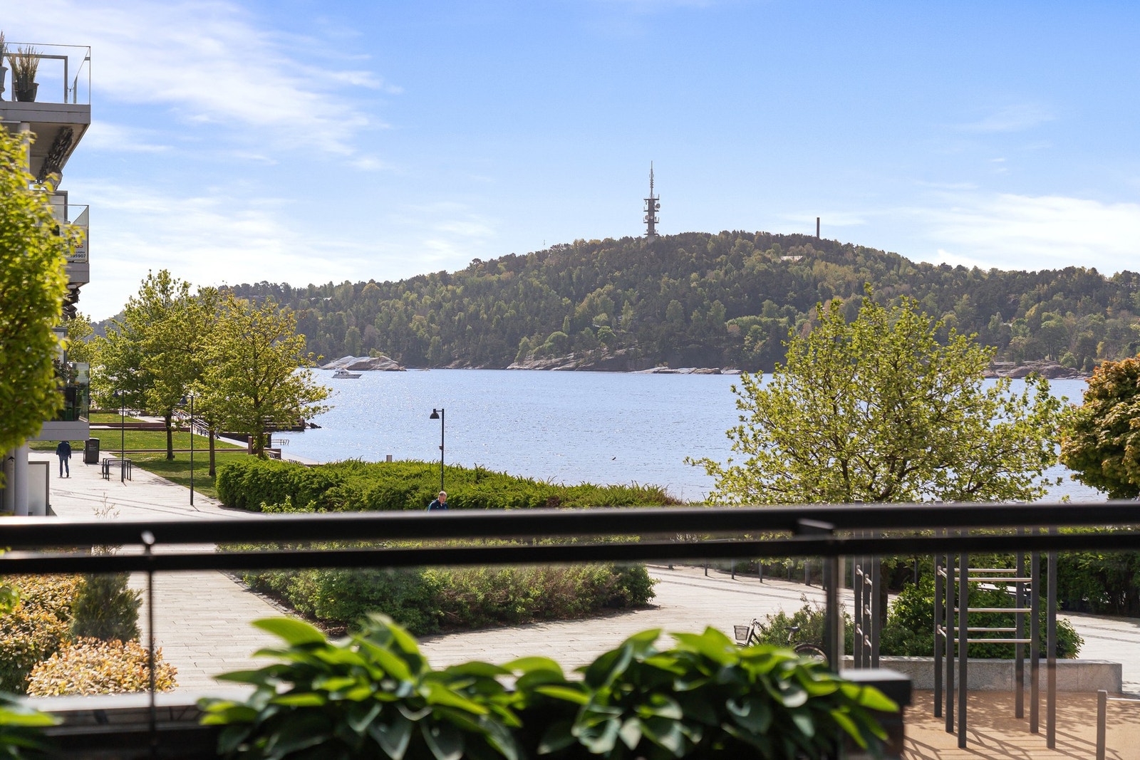 Odderøya rett ut fra leiligheten Galleribilde