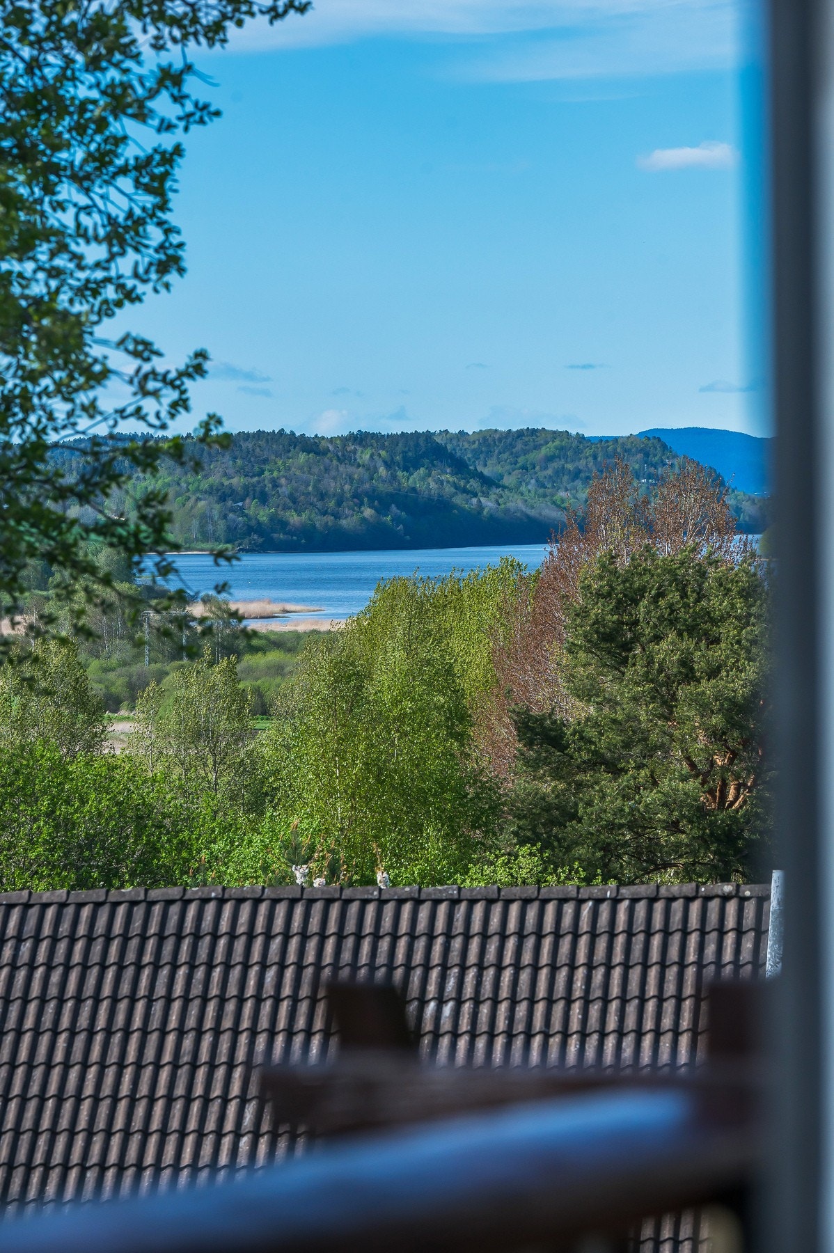 Fra balkongen er utsikt ned mot Borrevannet Galleribilde