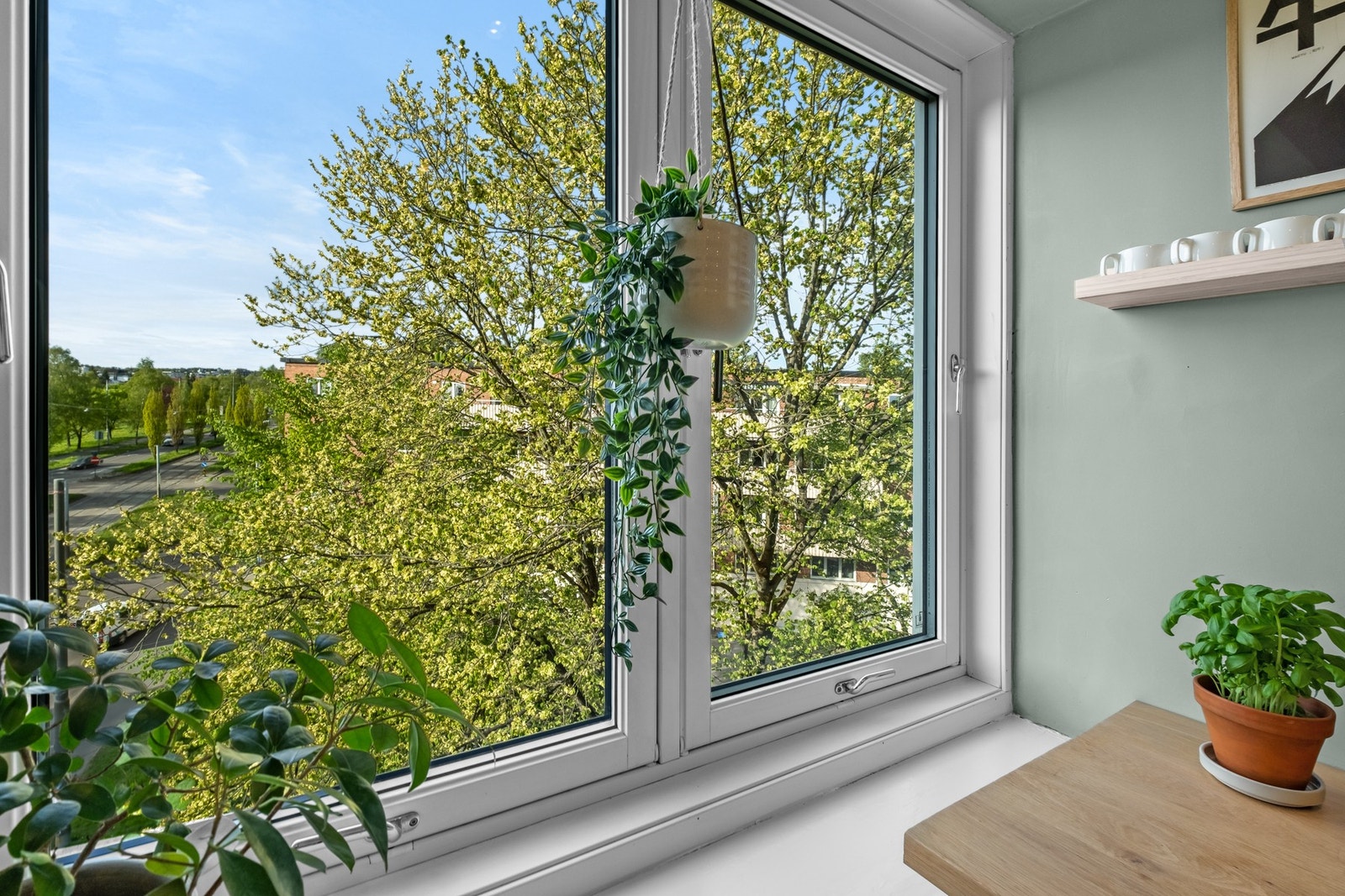 Flott utsikt Galleribilde