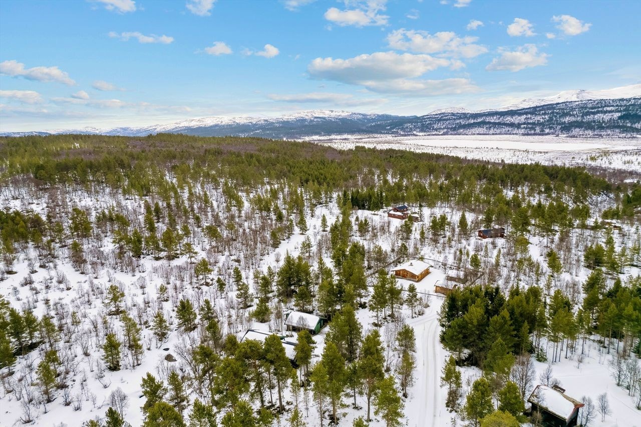 Hytta ligger i rolige og naturskjønne omgivelser, omgitt av vakker natur. Galleribilde