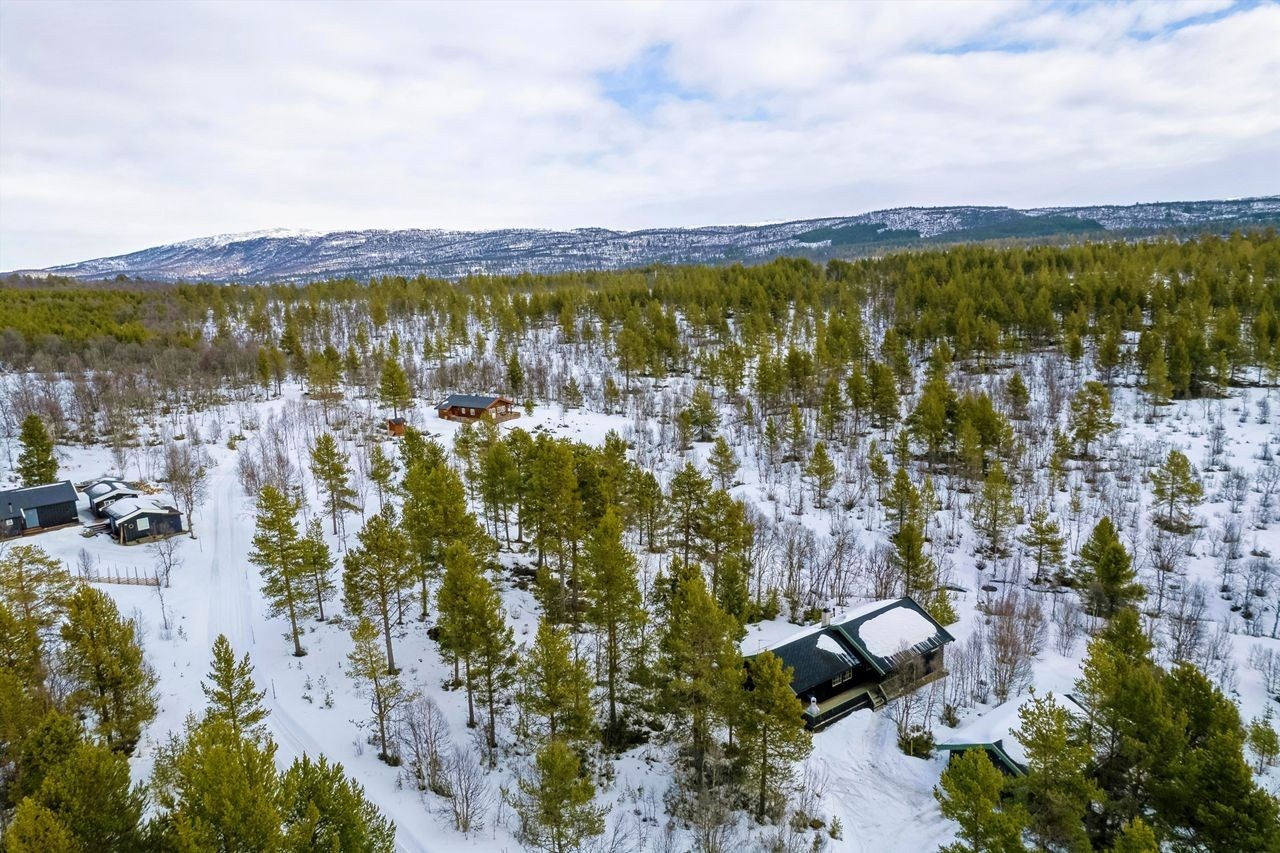 Det er bilvei helt frem til hytta. Galleribilde