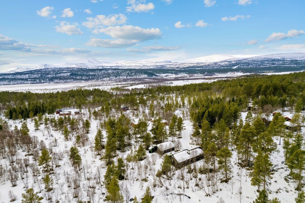 Fra hytta har man tilgang til turstier, skiløyper, sykkel, bærplukking, jakt og fiske! På vinterstid kjøres det skiløyper like ved hytta. Galleribilde