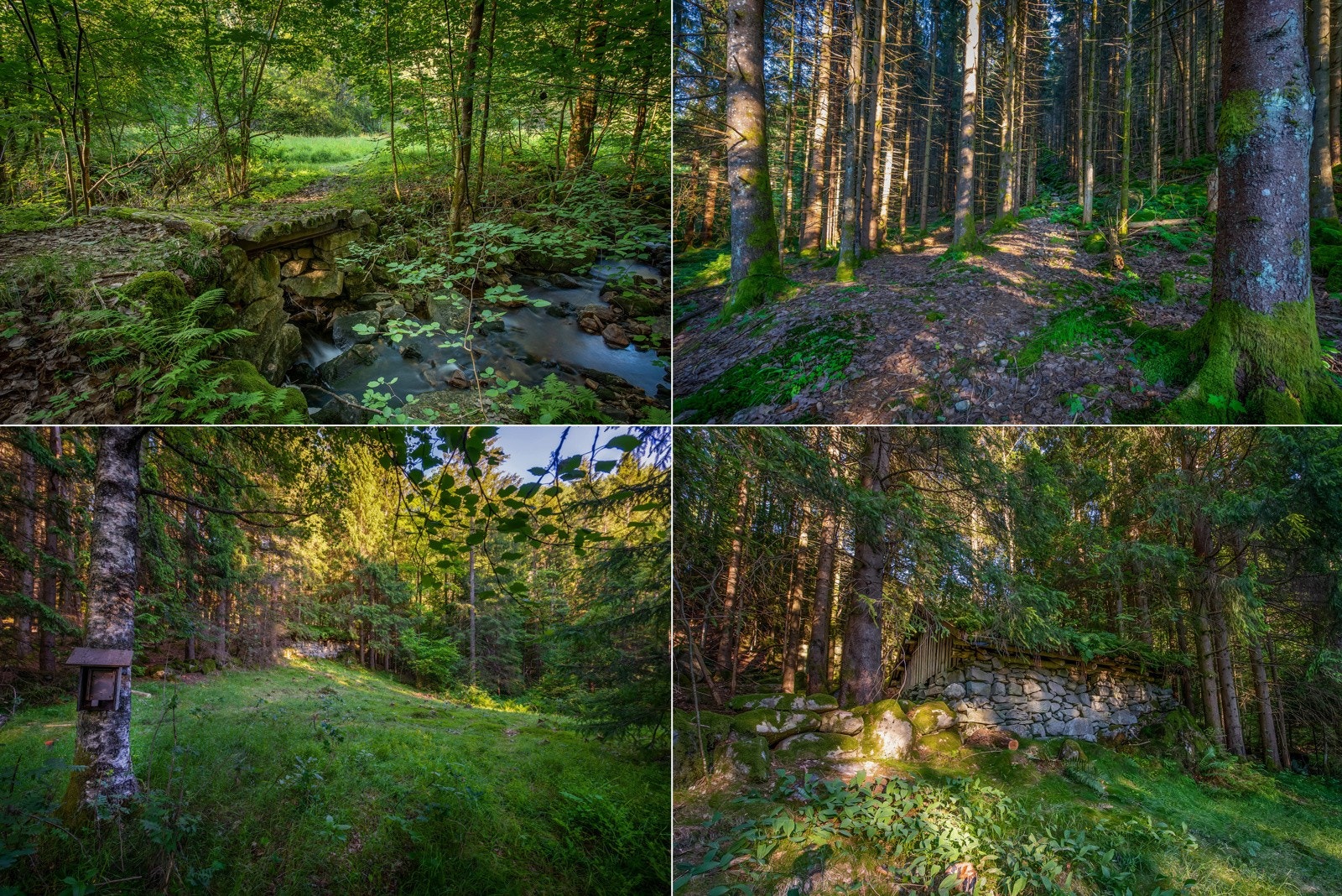 Naturen rundt oppleves trolsk, og byr på mye spennende for både store og små. Galleribilde