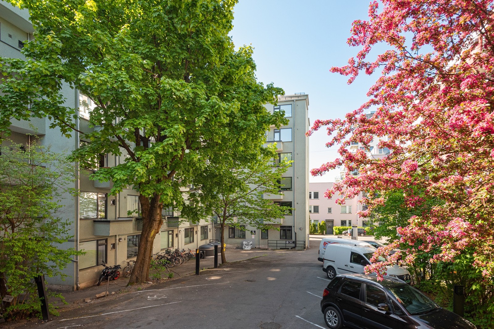 Bakgård Galleribilde