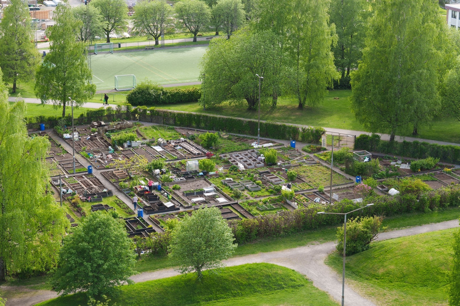 Galleribilde