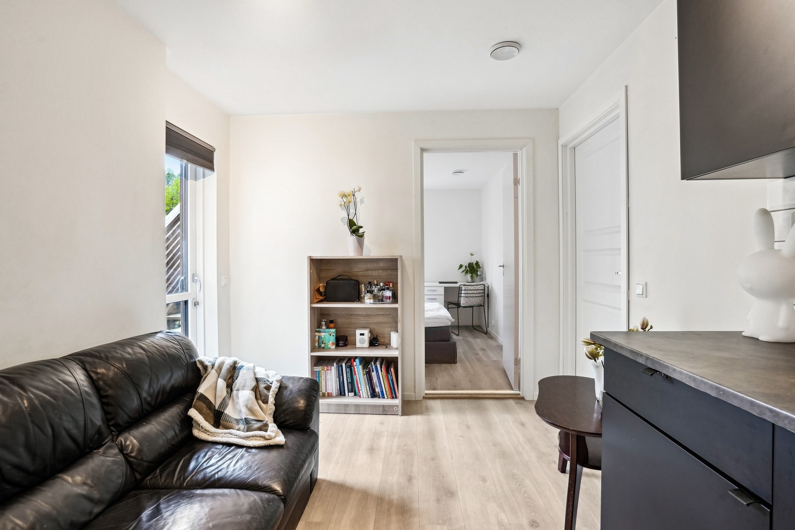 Stue/kjøkken. Galleribilde