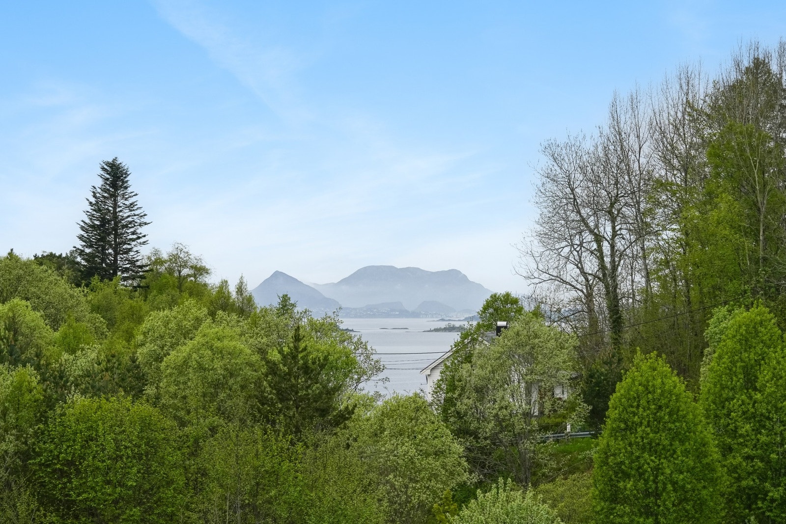 Utsikt. Galleribilde